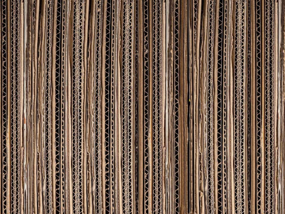 How Long Does Cardboard Take To Decompose?